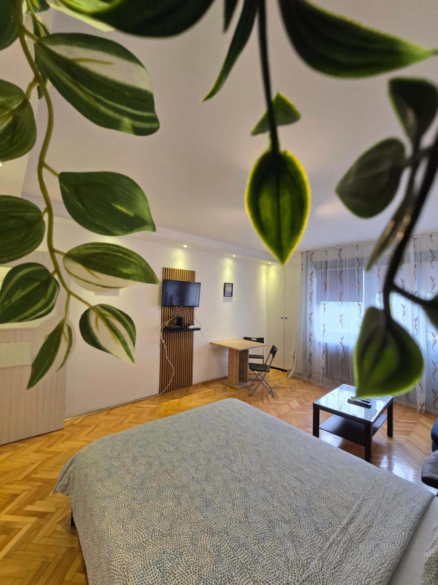 Azzurro Studio Apartment 베오그라드 외부 사진