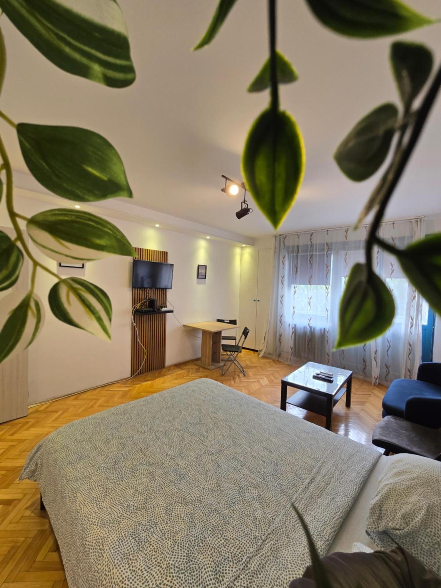 Azzurro Studio Apartment 베오그라드 외부 사진